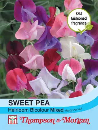 Sweet Pea Heirloom Bicolour Mix