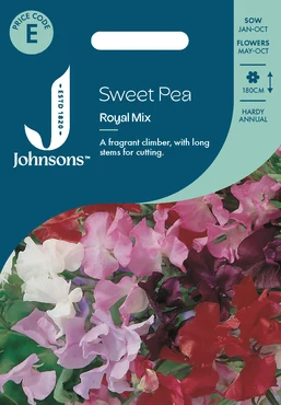 Sweet Pea Royal Mix - image 1