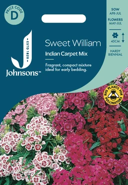 Sweet William Indian Carpet Mix