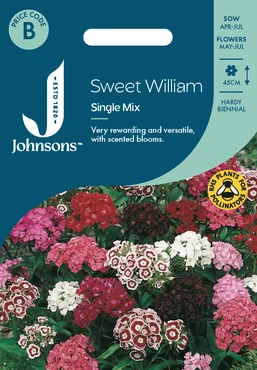 Sweet William Single Mix - image 1