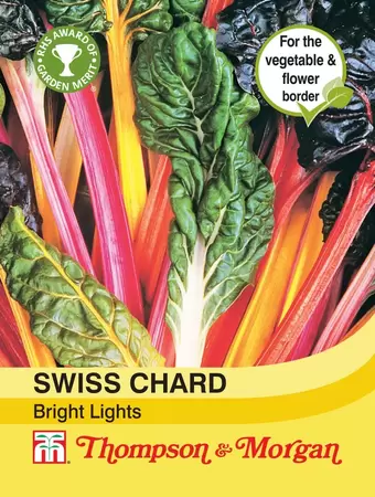 Swiss Chard Bright Lights