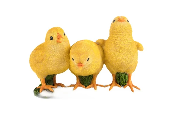Three Chicks