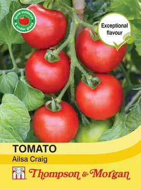 Tomato Ailsa Craig