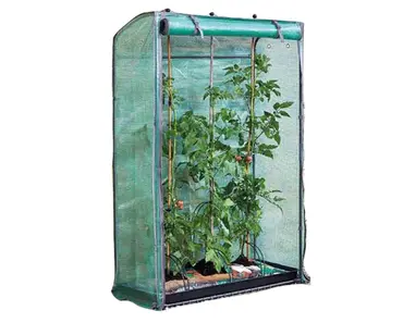 Tomato Gro Zone