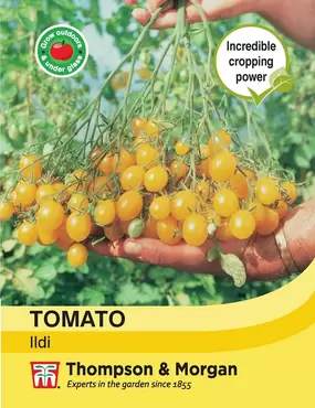 Tomato Ildi