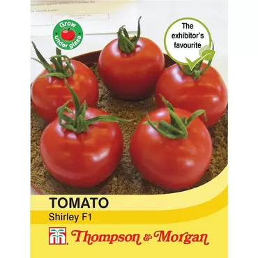 Tomato Shirley F1 Hybrid