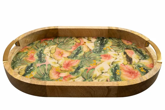 Tray Monstera Mystery D40x26 H4