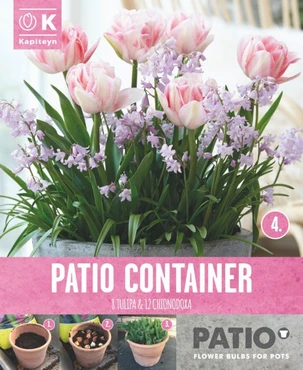 Tulipa & Chionodoxa Patio Collection