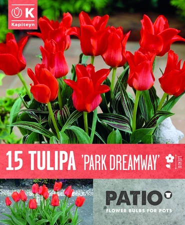 Tulipa Park Dreamway