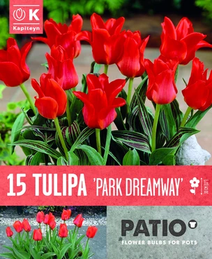Tulipa Park Dreamway