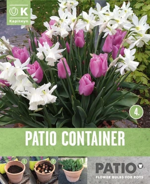 Tulipa Pink & Narcissus White Patio Collection