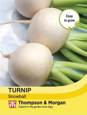 Turnip Snowball