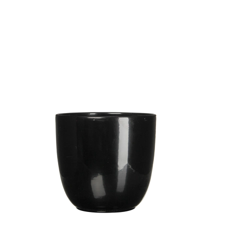 Tusca Black Houseplant Pot H11XD12CM