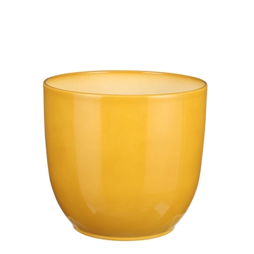 Tusca Ochre  Houseplant Pot H11XD12CM