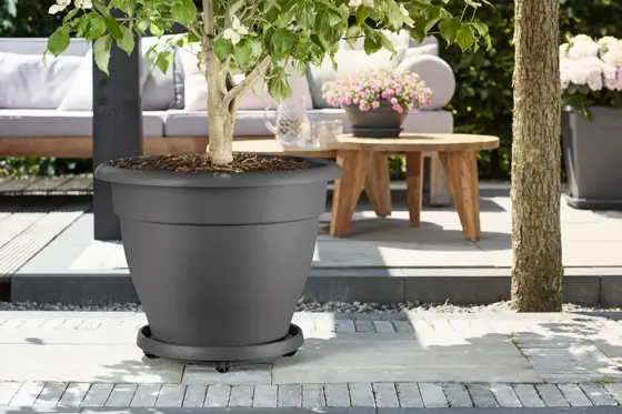 Universal Planttaxi 35cm Anthracite - image 2