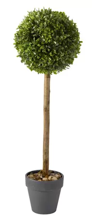 Uno Topiary Tree 40cm