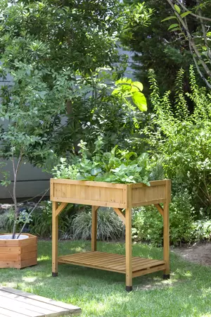 VegTrug Herb Garden -Natural - image 2