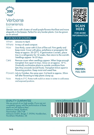 Verbena Bonariensis - image 2