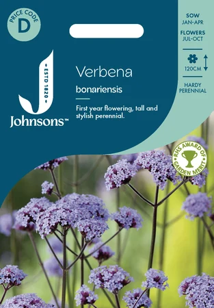 Verbena Bonariensis - image 1
