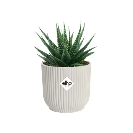 Vibes Fold Round Mini 9cm Silky White