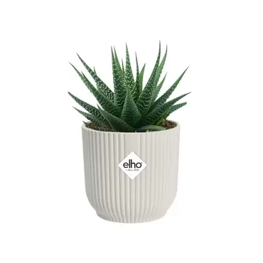 Vibes Fold Round Mini 9cm Silky White