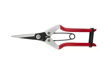 Vine Scissor - image 1