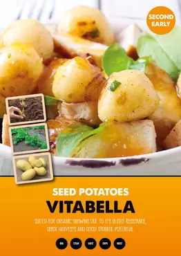 Vitabella Seed Potato 2kg