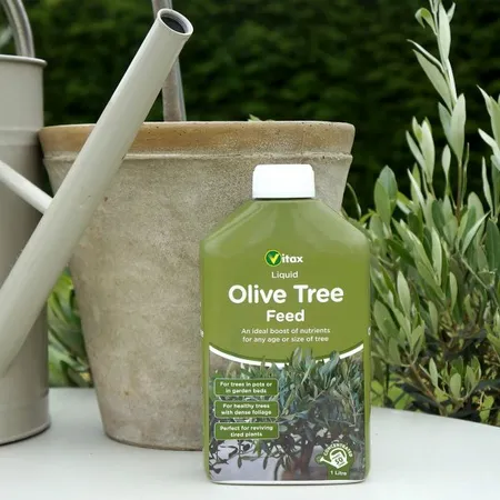 Vitax Olive Tree Liquid Plant Feed 1L - image 2