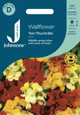 Wallflower Tom Thumb Mix - image 1