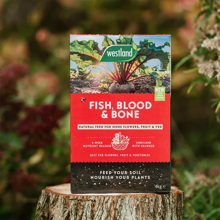 Westland Fish, Blood & Bone Natural Plant Food 4kg - image 2