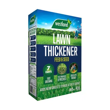 Westland Lawn Thickener 80m2 Box - image 1