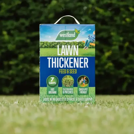 Westland Lawn Thickener 80m2 Box - image 2