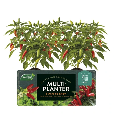 Westland Multi-Planter Growbag - image 2