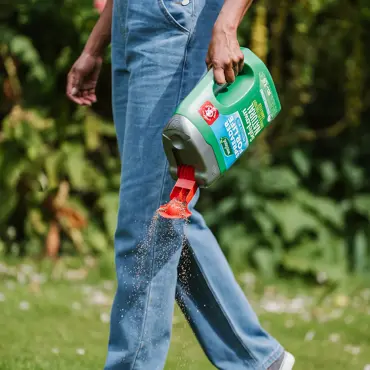 Westland SafeLawn Lawn fertiliser Granules 80m² - image 2