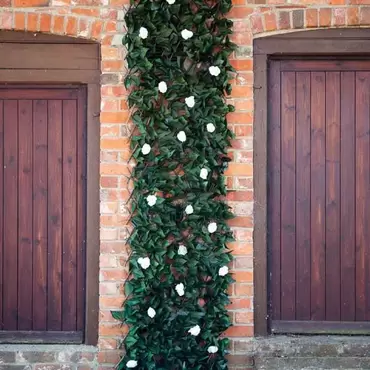 white bloom trellis 