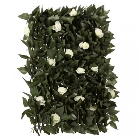 white bloom trellis
