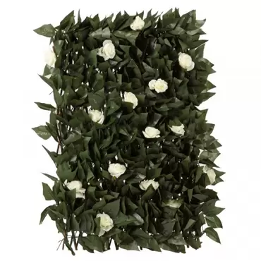 white bloom trellis