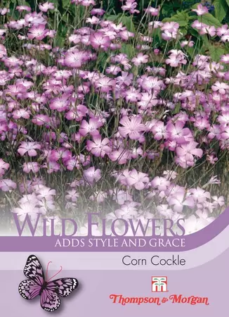 Wild Flower Corn Cockle