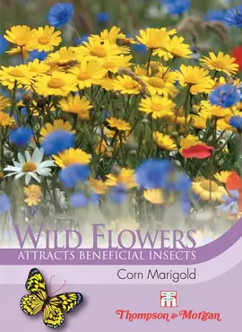 Wild Flower Corn Marigold