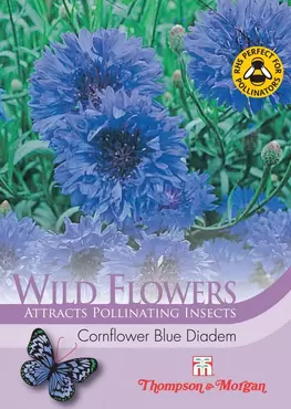 Wild Flower Cornflower Blue Diadem