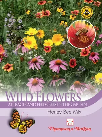 Wild Flower Honey Bee Flower Mix