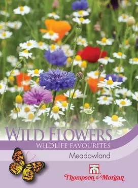 Wild Flower Meadowland