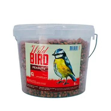 Wildbird Peanuts 5kg Tub - image 1