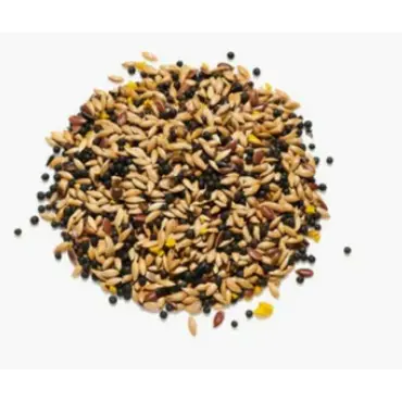 Wildbird Seed Mix 5kg - image 2