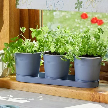 Windowsill Herb Pots - Slate 3-Pk - image 2
