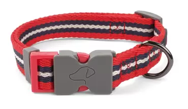 Windsor Adjustable Wonderlust Cat Collar