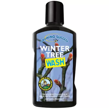 Winter Tree Wash