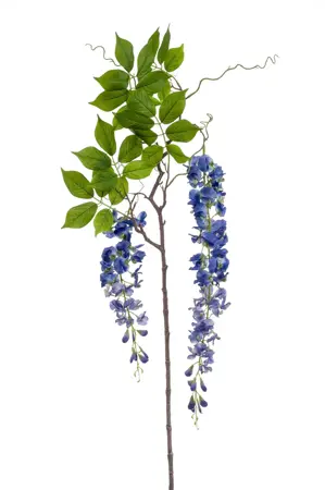 Wisteria Branch Blue 145cm - image 1