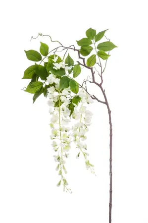 Wisteria Branch White 145cm