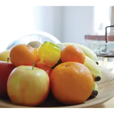 Zero In Fruit fly trap, Pack of 2 - image 2